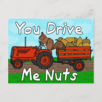Funny You Drive Me Nuts Squirrel Pun Valentine's Holiday Postcard