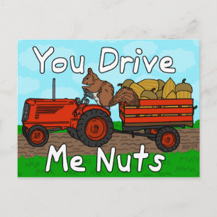 Funny You Drive Me Nuts Squirrel Pun Valentine's Holiday Postcard