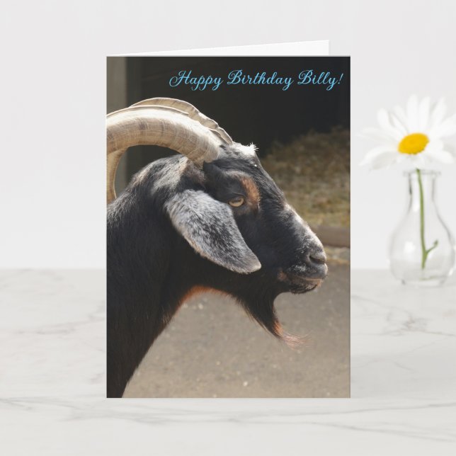 Funny "You old goat"  Happy Birthday Card  (Small Plant)