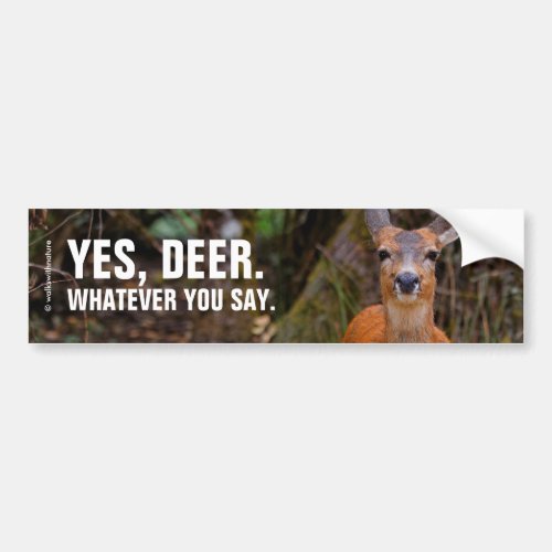 Funny Young Blacktail Deer Smiles at Photographer Bumper Sticker