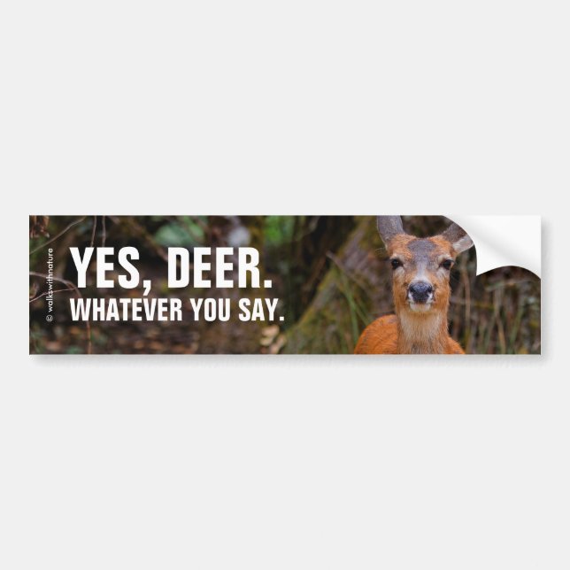 Funny Young Blacktail Deer Smiles at Photographer Bumper Sticker (Front)