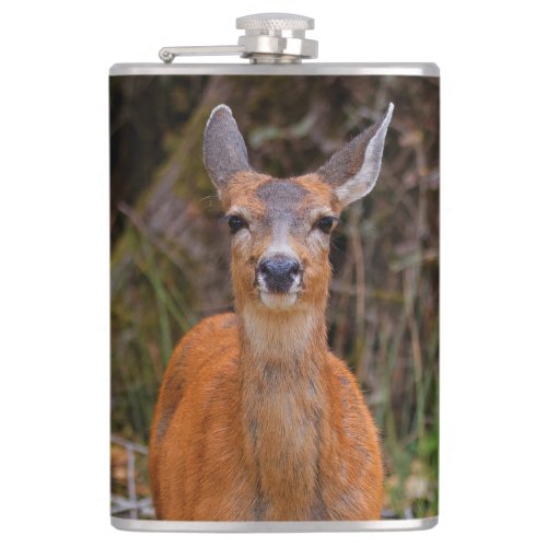 Funny Young Blacktail Deer Smiles at Photographer Flask
