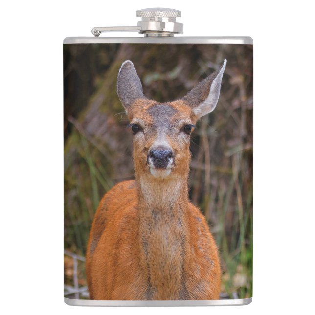 Funny Young Blacktail Deer Smiles at Photographer Flask (Front)