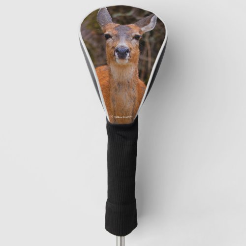 Funny Young Blacktail Deer Smiles at Photographer Golf Head Cover