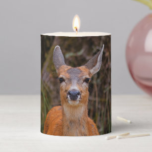 Funny Young Blacktail Deer Smiles at Photographer Pillar Candle
