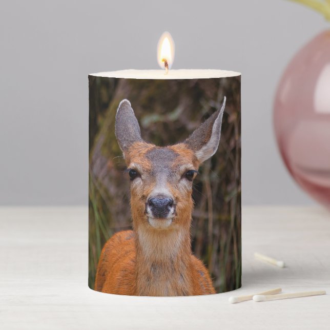 Funny Young Blacktail Deer Smiles at Photographer Pillar Candle (In Situ)