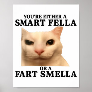 Funny You're Either A Smart Fella Or A Fart Smella Poster