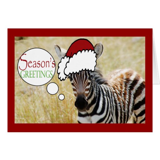 Fresh 15 Zebra Greeting Card