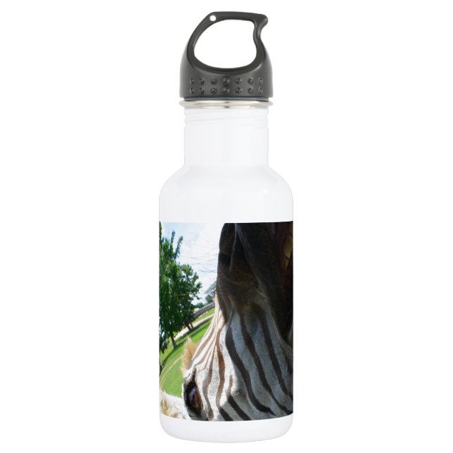 Funny Zebra Stainless Steel Water Bottle (Front)