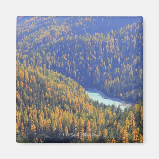 Fuorn Pass Magnet (Front)