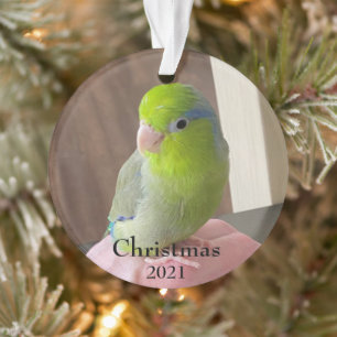 Fur Baby Acrylic Christmas Ornament