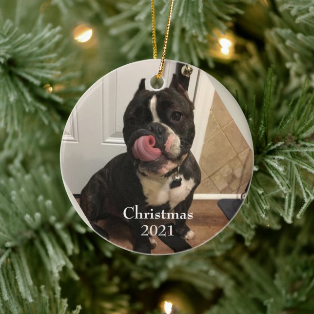 Fur Baby Christmas Ornament (Tree)