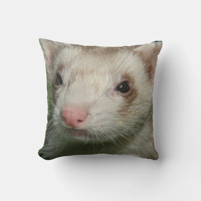 Fur Baby Cute Face of a Ferret Throw Pillow (Front)