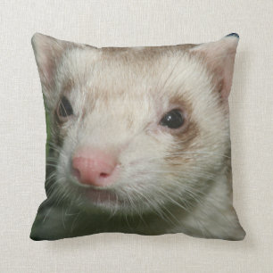 Fur Baby Cute Face of a Ferret Throw Pillow