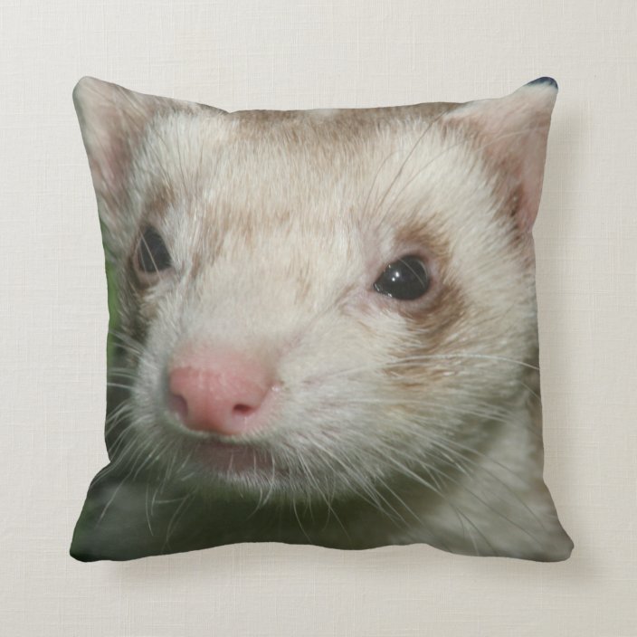 Fur Baby Cute Face of a Ferret Throw Pillow