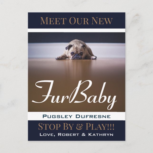 Fur Baby "New Pet" Announcement Postcard (Front)