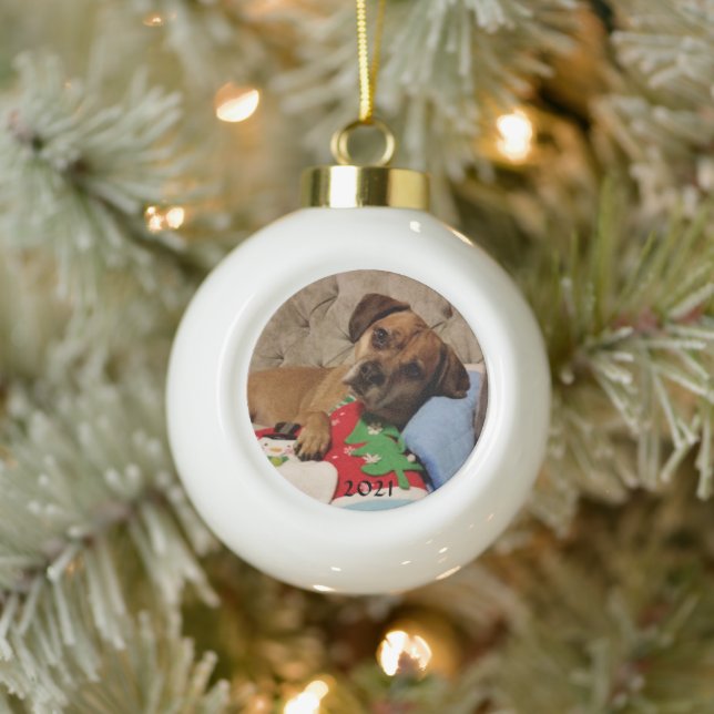 Fur Baby Personalized Ceramic Ball Ornament (Tree)