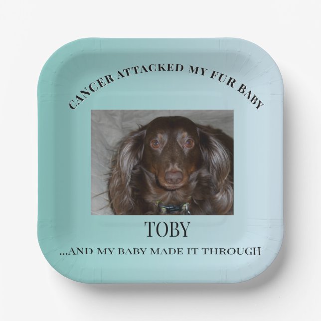 Fur Baby Survivor Celebration Art Paper Plates (Front)