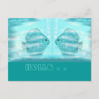 Für Discus-Freunde...postcard Postcard