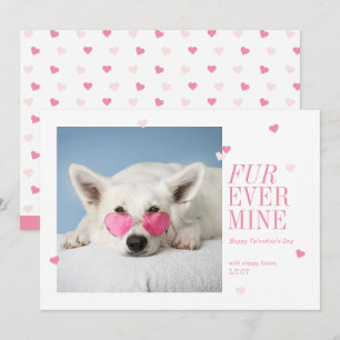 Fur Ever Mine Pet Valentines Heart Photo Card