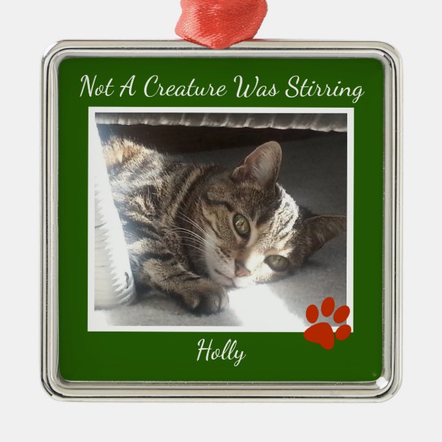 Fur Ever Pets Metal Ornament (Front)