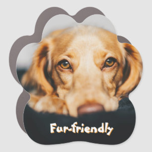 Fur-friendly custom pet photo  car magnet
