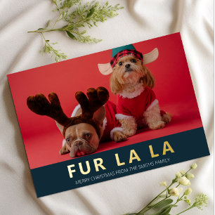 Fur La La Blue Gold Modern Pet Christmas Photo Foil Holiday Card