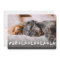 Fur La La La La Paws Dog Lover Photo Funny Pet
