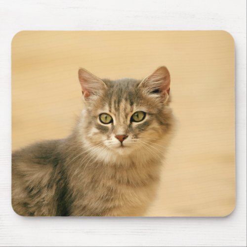 fur mouse pad