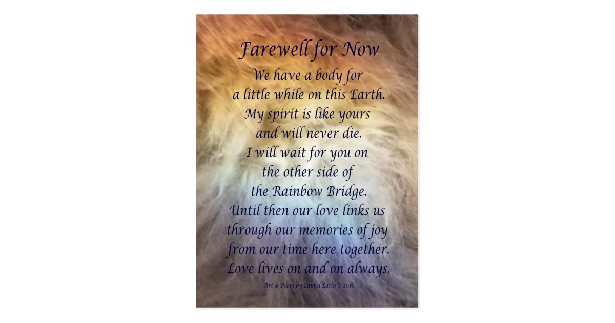 Fur Rainbow Bridge Pet Grief Sympathy Postcards Zazzle Com