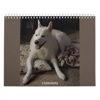 Furbabies Calendar by rosstreasuresetc at Zazzle