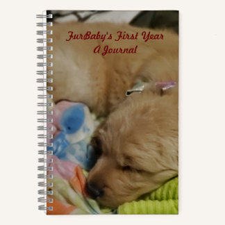 FurBaby's First Year A Journal