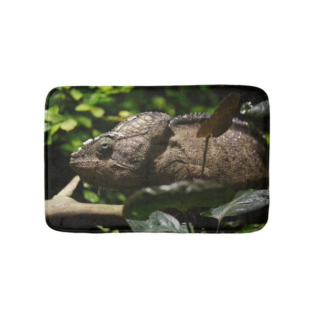 Furcifer oustaleti bathroom mat (Front)