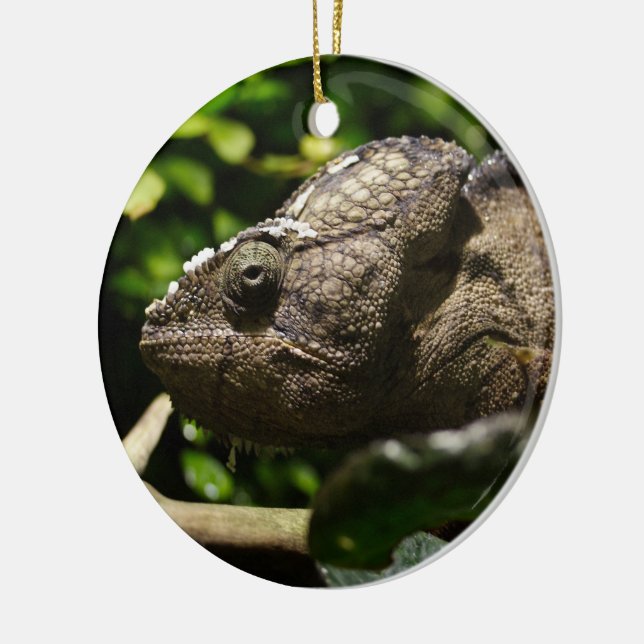 Furcifer oustaleti ceramic ornament (Left)