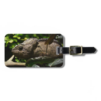 Furcifer oustaleti luggage tag