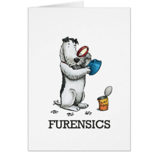 Furensics Cards