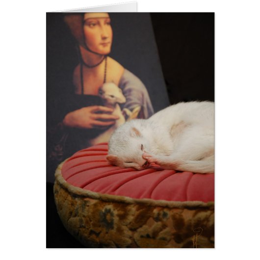 Furet sur coussin rose II Cards (Front)