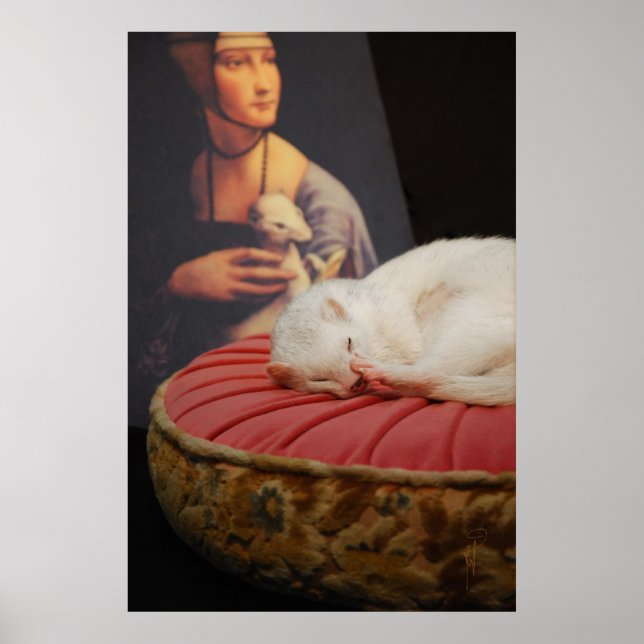 Furet sur coussin rose II Poster (Front)