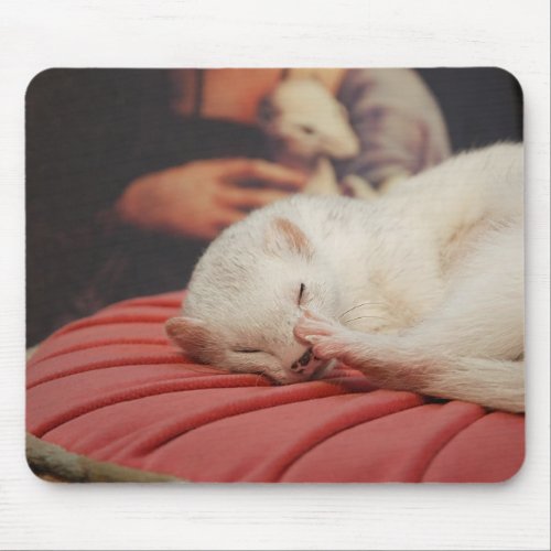 Furet sur coussin rose Mousepad