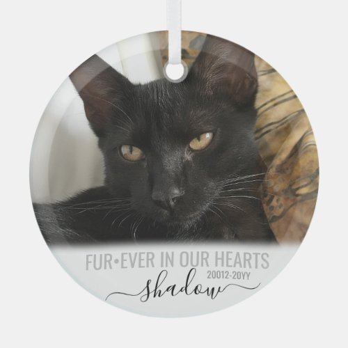 FurEver in our Hearts Memorial Pet Photo Glass Ornament