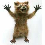 FURIOUSLY HAPPY RACCOON CUTOUT<br><div class="desc">A tiny Rory Raccoon statue for your desk.   He is always happy to see you and will never leave you hanging.</div>