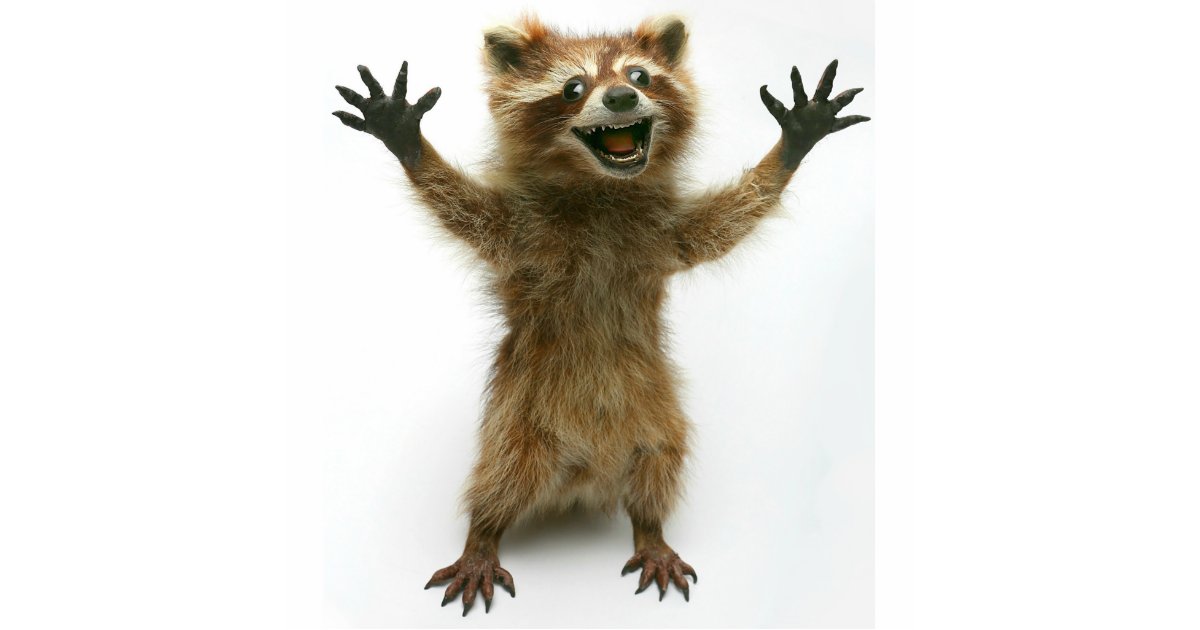 furiously happy raccoon cutout zazzle com