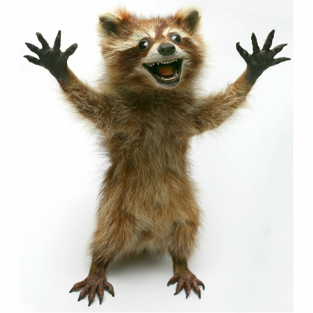 FURIOUSLY HAPPY RACCOON CUTOUT (Front)