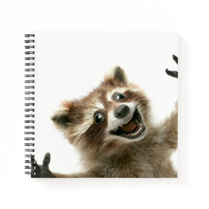 Furiously happy raccoon notebook