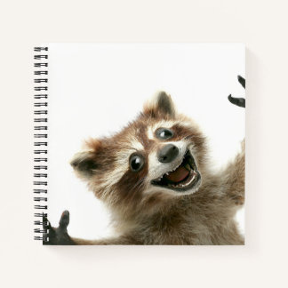 Furiously happy raccoon notebook