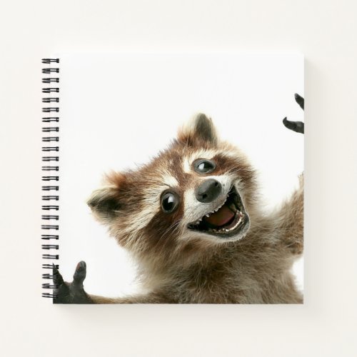 Furiously happy raccoon notebook