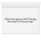 Furrball Romance (Inside Horizontal (Bottom))