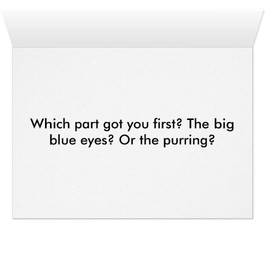 Furrball Romance (Inside Horizontal (Bottom))