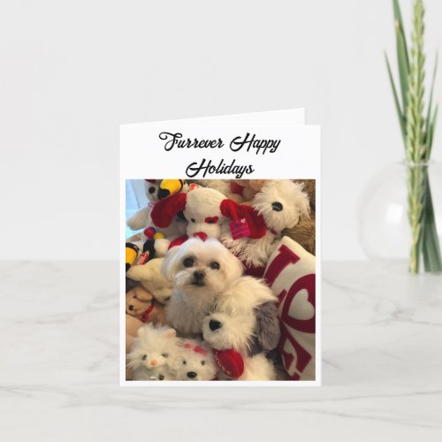 Furrever Happy Holiday Note Card