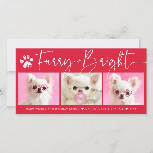 Furry and Bright  3 Photo Pet Collage Holiday Card